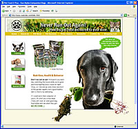 Orange County Web Developers